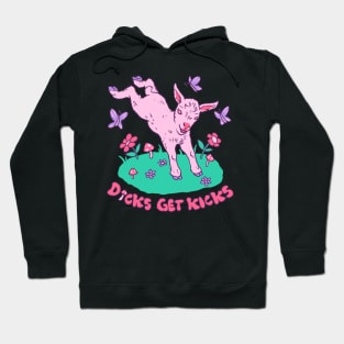 Dicks Get Kicks Hoodie